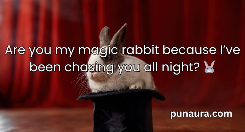 Magician Pick Up Lines