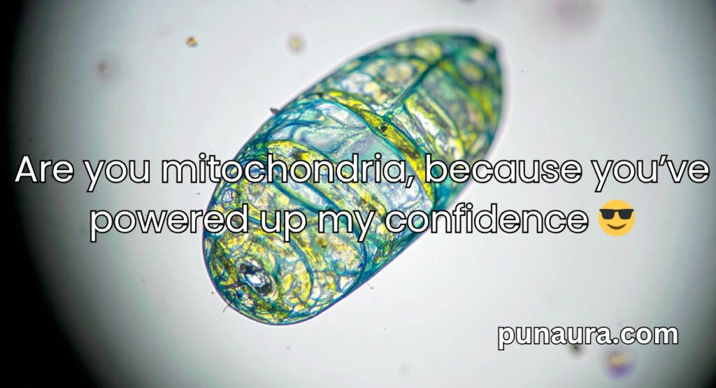 Mitochondria Pick Up Lines