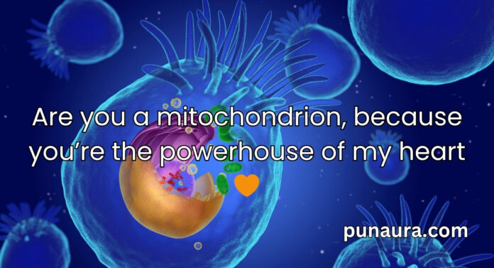 Mitochondria Pick Up Lines Mitochondria Pick Up Lines