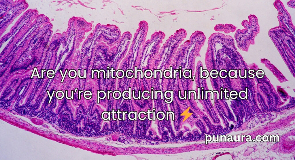 Mitochondria Pick Up Lines