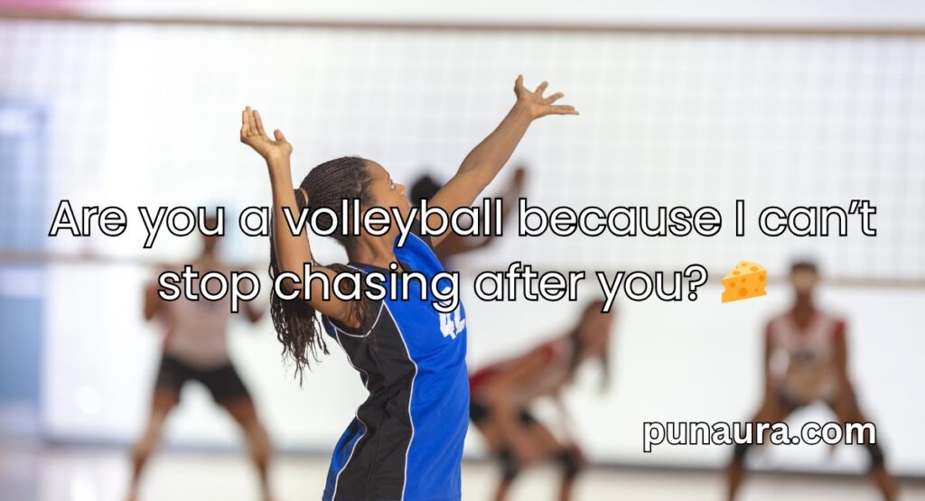 Pick Up Lines About Volleyball