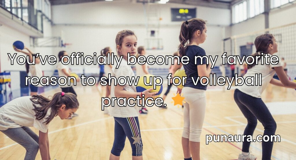Pick Up Lines About Volleyball