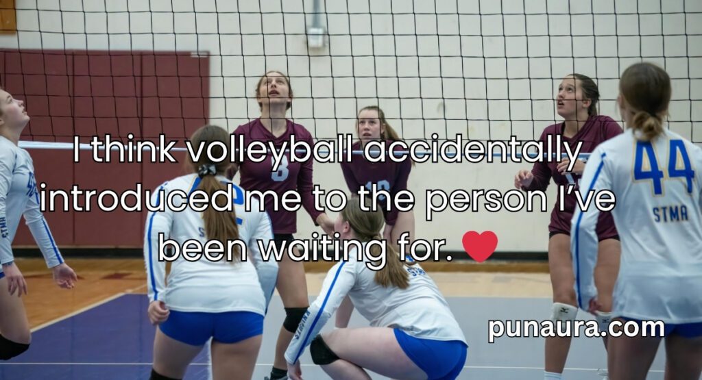 Pick Up Lines About Volleyball