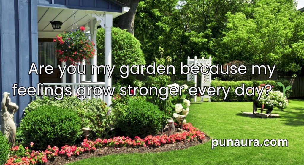 Pick Up Lines With Vegetables