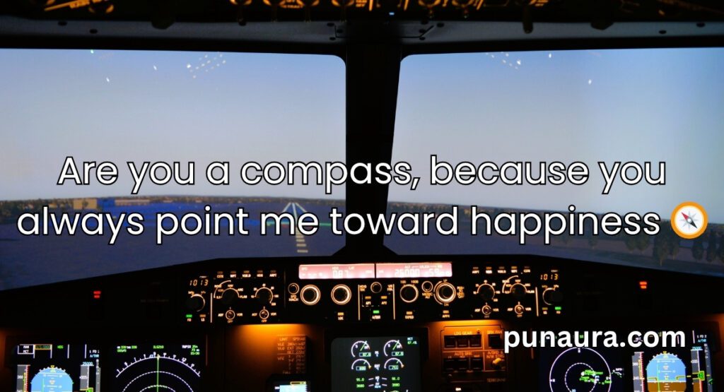 Pilot Pick Up Lines