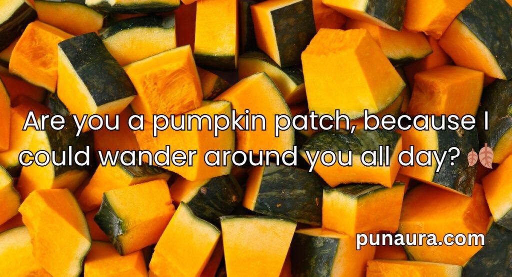 Pumpkin Pick Up Lines