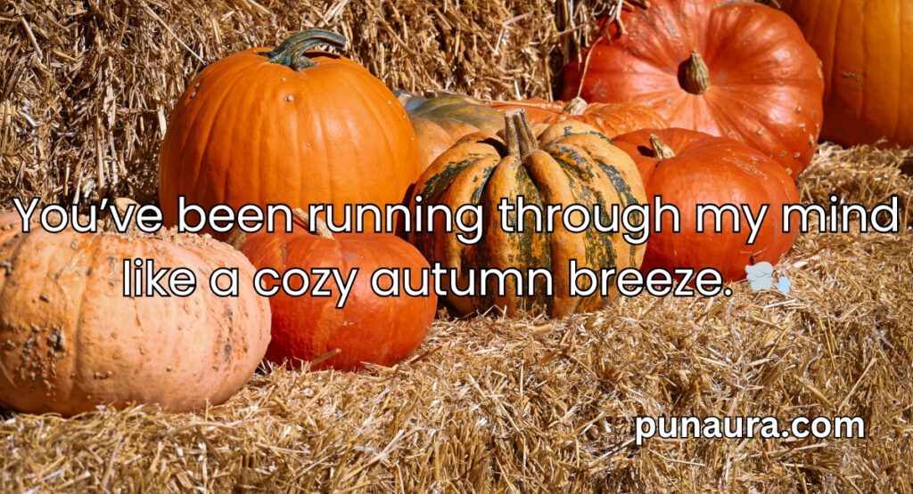 Pumpkin Pick Up Lines