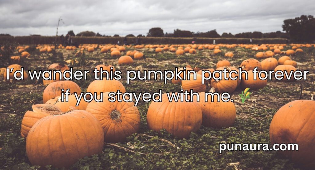 Pumpkin Pick Up Lines