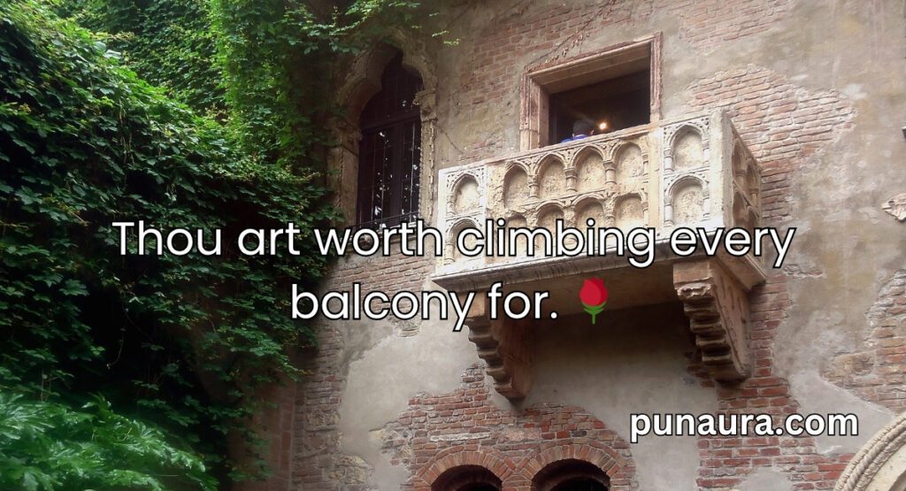 Shakespeare Pick Up Lines
