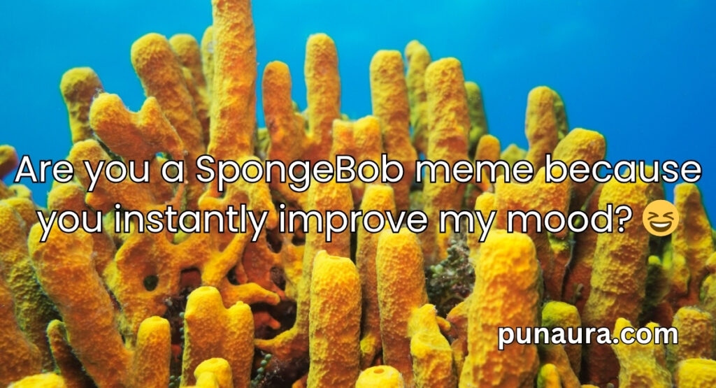 Spongebob Pick Up Lines