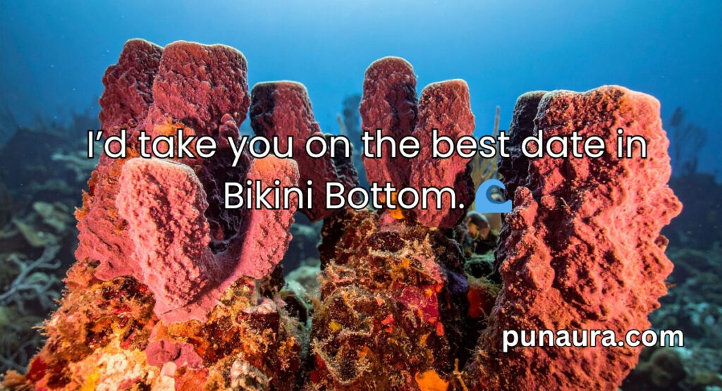 Spongebob Pick Up Lines