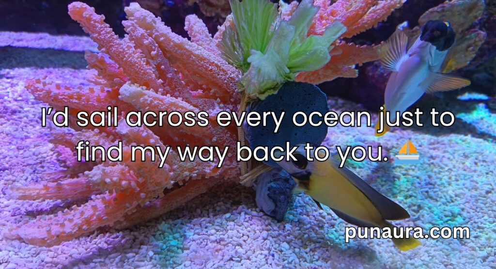 Spongebob Pick Up Lines