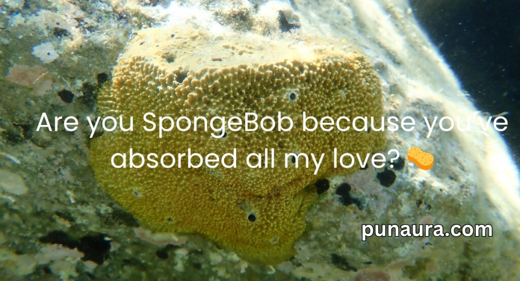 Spongebob Pick Up Lines