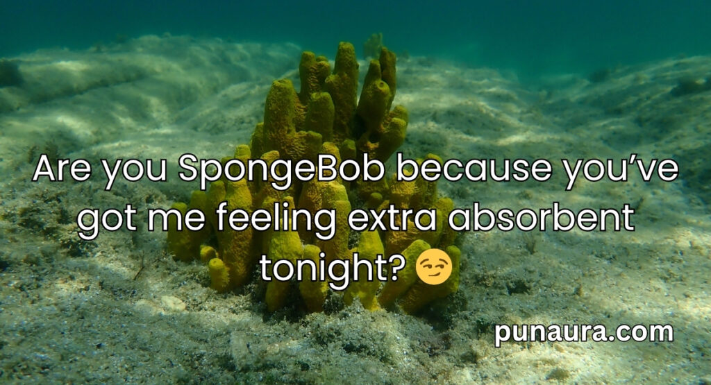 Spongebob Pick Up Lines
