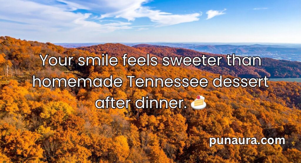 pick up lines tennessee