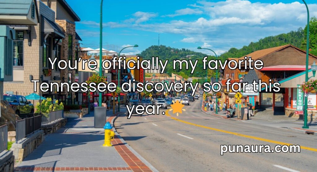 pick up lines tennessee