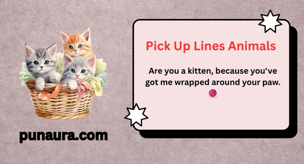 Pick Up Lines Animals