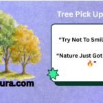 Tree Pick Up Lines